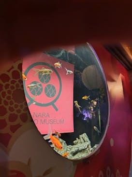 NARA KINGYO MUSEUMに投稿された画像（2025/7/20）