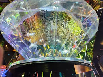 NARA KINGYO MUSEUMに投稿された画像（2025/7/20）