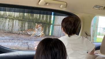 岩手サファリパークに投稿された画像（2025/7/20）