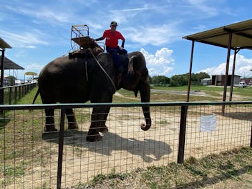 岩手サファリパークに投稿された画像（2025/7/20）