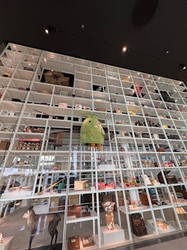 ブルックリン博物館所蔵　特別展　古代エジプト（豊田会場）に投稿された画像（2025/7/20）