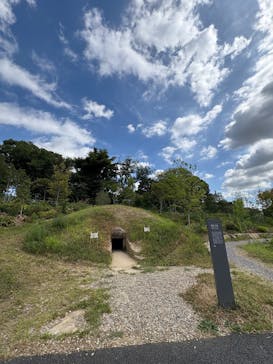 ブルックリン博物館所蔵　特別展　古代エジプト（豊田会場）に投稿された画像（2025/7/20）
