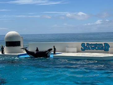 鴨川シーワールドに投稿された画像（2025/7/20）