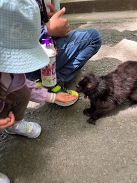 長崎バイオパークに投稿された画像（2025/7/20）