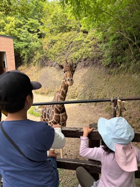 長崎バイオパークに投稿された画像（2025/7/20）