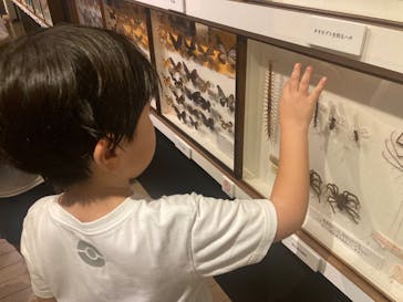 体感するファーブル昆虫展in横浜赤レンガ倉庫に投稿された画像（2025/7/20）