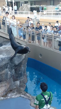 アクアワールド茨城県大洗水族館に投稿された画像（2025/7/20）