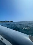 SeafariJapanに投稿された画像（2025/7/20）