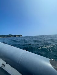 SeafariJapanに投稿された画像（2025/7/20）