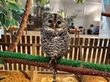 Moff animal cafe イオンモール幕張新都心店に投稿された画像（2025/7/20）