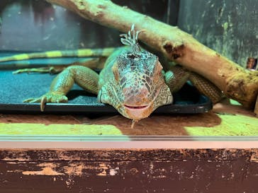 Moff animal cafe イオンモール幕張新都心店に投稿された画像（2025/7/20）