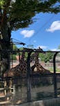 多摩動物公園に投稿された画像（2025/7/20）