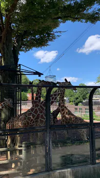 多摩動物公園に投稿された画像（2025/7/20）