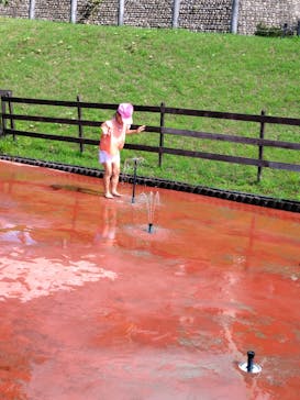 牧歌の里に投稿された画像（2025/7/20）