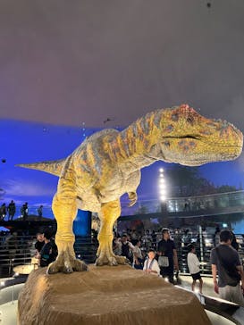 福井県立恐竜博物館に投稿された画像（2025/7/20）