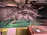 大恐竜展に投稿された画像（2025/7/20）