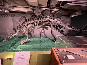 大恐竜展に投稿された画像（2025/7/20）
