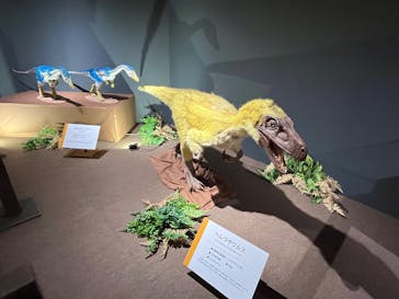 大恐竜展に投稿された画像（2025/7/20）