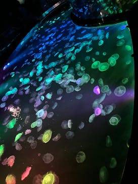 すみだ水族館に投稿された画像（2025/7/20）