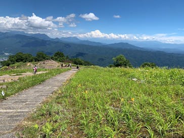 白馬五竜高山植物園に投稿された画像（2025/7/20）