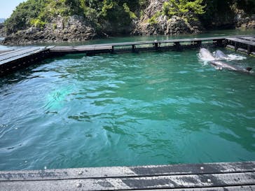 太地町立くじらの博物館に投稿された画像（2025/7/20）