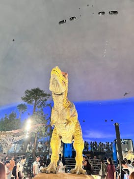 福井県立恐竜博物館に投稿された画像（2025/7/20）
