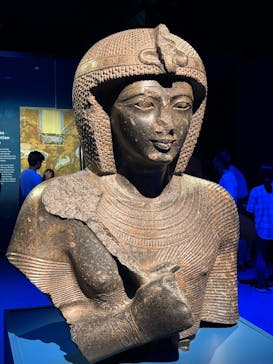 ACN ラムセス大王展 ファラオたちの黄金に投稿された画像（2025/7/20）