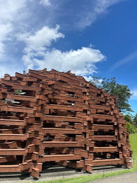 彫刻の森美術館に投稿された画像（2025/7/20）