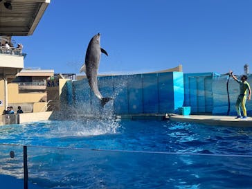 新江ノ島水族館に投稿された画像（2025/7/20）