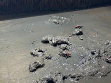 マリンワールド海の中道に投稿された画像（2025/7/20）