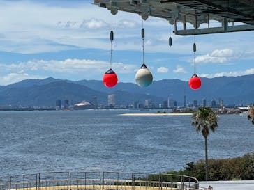 マリンワールド海の中道に投稿された画像（2025/7/20）