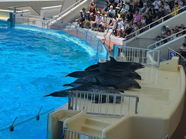 マリンワールド海の中道に投稿された画像（2025/7/20）