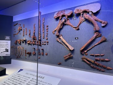 福井県立恐竜博物館に投稿された画像（2025/7/20）