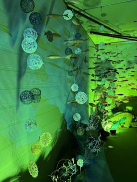 旅する光の切り絵展 ～くうそうって、まほうだよ～に投稿された画像（2025/7/20）