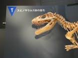 福井県立恐竜博物館に投稿された画像（2025/7/20）