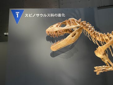 福井県立恐竜博物館に投稿された画像（2025/7/20）
