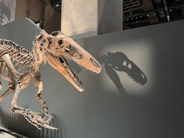 福井県立恐竜博物館に投稿された画像（2025/7/20）