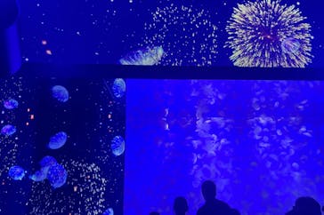 アクアワールド茨城県大洗水族館に投稿された画像（2025/7/20）