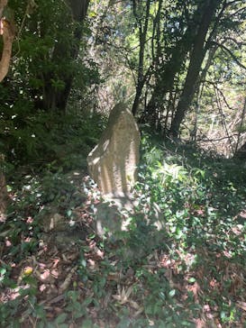 あわしまマリンパークに投稿された画像（2025/7/20）