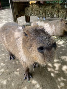 長崎バイオパークに投稿された画像（2025/7/20）