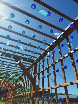 ひるがのピクニックガーデンに投稿された画像（2025/7/20）