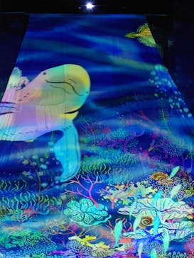 旅する光の切り絵展 ～くうそうって、まほうだよ～に投稿された画像（2025/7/20）