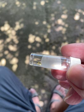 土肥金山に投稿された画像（2025/7/20）