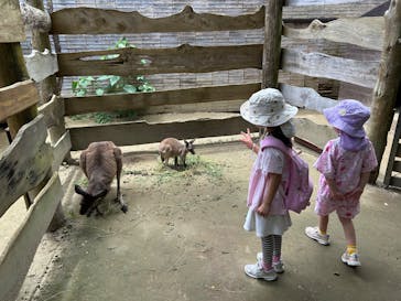 ANIMAL WONDER REZOURT 市原ぞうの国・サユリワールドに投稿された画像（2025/7/20）