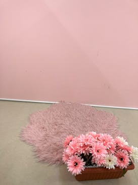 キッズランドUS 兵庫尼崎アマドゥ店に投稿された画像（2025/7/20）