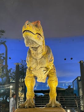 福井県立恐竜博物館に投稿された画像（2025/7/20）