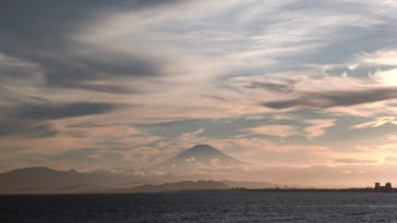 新江ノ島水族館に投稿された画像（2025/7/20）