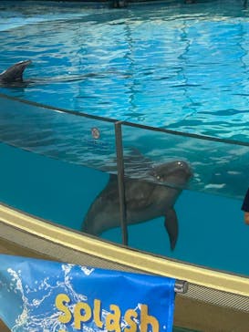 新江ノ島水族館に投稿された画像（2025/7/20）