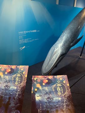 新江ノ島水族館に投稿された画像（2025/7/20）