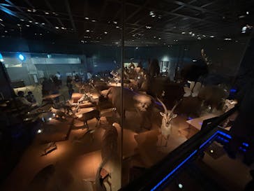 国立科学博物館に投稿された画像（2025/7/20）